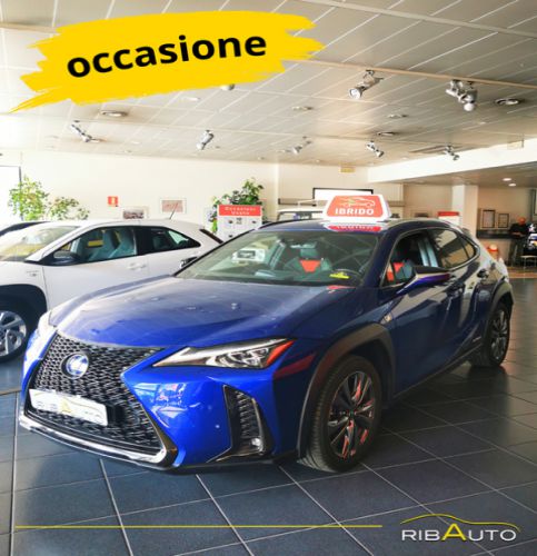 Ribauto 2 Concessionario Multimarche Savigliano e Alba